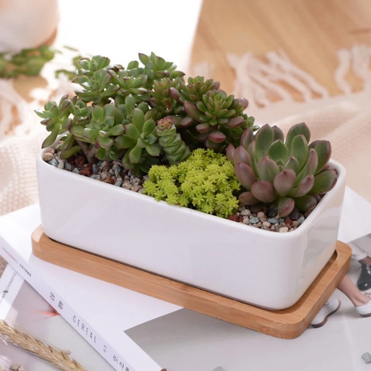 Modern Decorative Garden Flower Pot Ceramic Pots For Succulent Cactus Plants Pot With Drainage Wooden Tray
