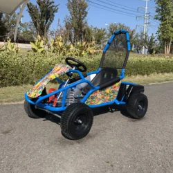 Funrun 2020 EPA/Carb Racing go kart for Kids
