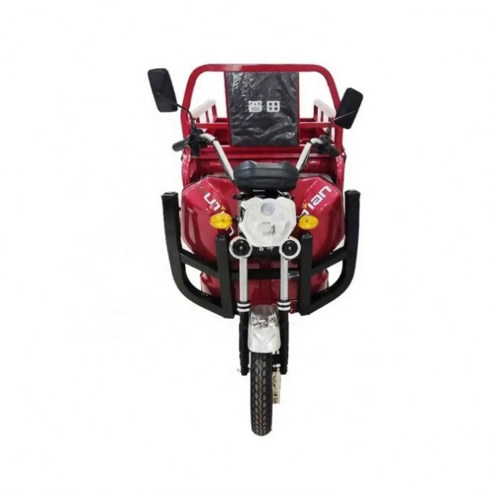Large Supply SKD Trike Bic Gold Wing Tyep With Great Price