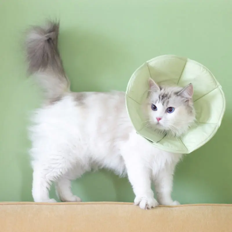 Pet Cats E-Collar Cat Elizabethan Collar Pet Dog Neck Cone Recovery Collar for Anti-Lick Surgery Recovery Healing Protective