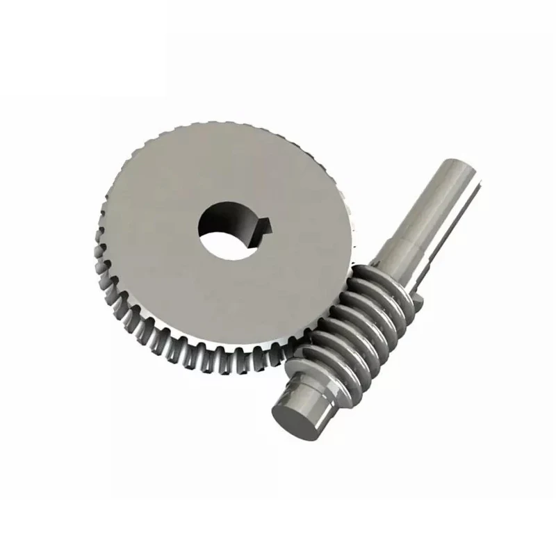 weite high precision OEM ODM Factory Manufactured Brass Worm Gears