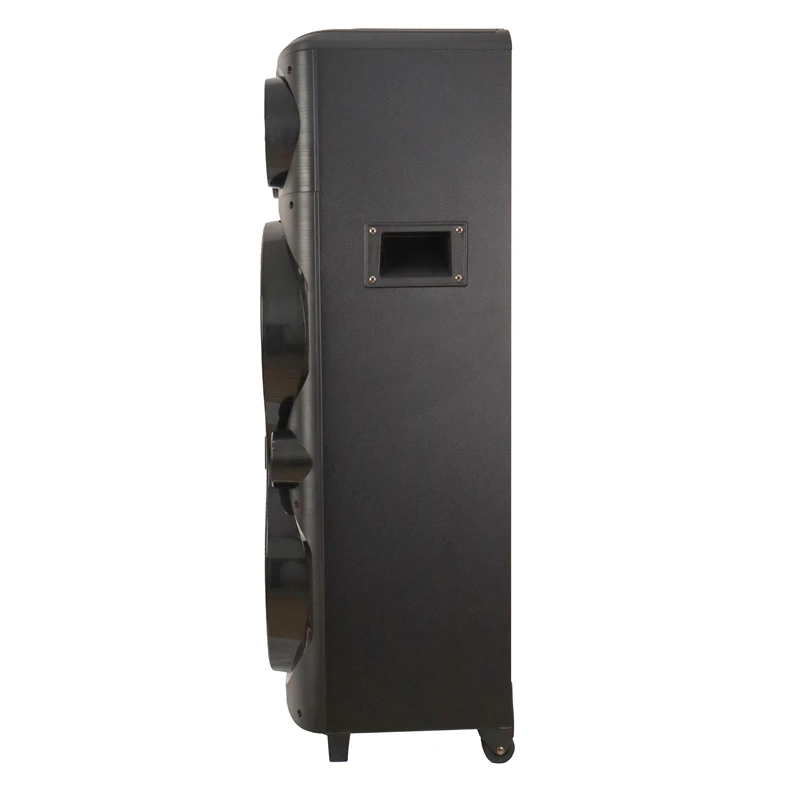 Dual 10 Inch Subwoofer Home Outdoor Party Holiday 180W Peak Powerful Large Boombox Professional Active Stage Speaker for sale