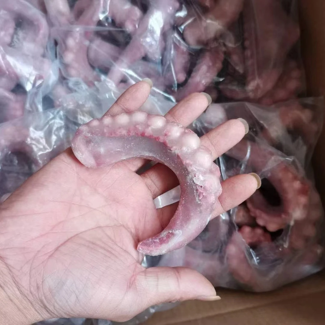 Factory Supply Attractive Price Frozen Squid Tentacle Dice Seafood Importer squid arms China seafood squid gigas