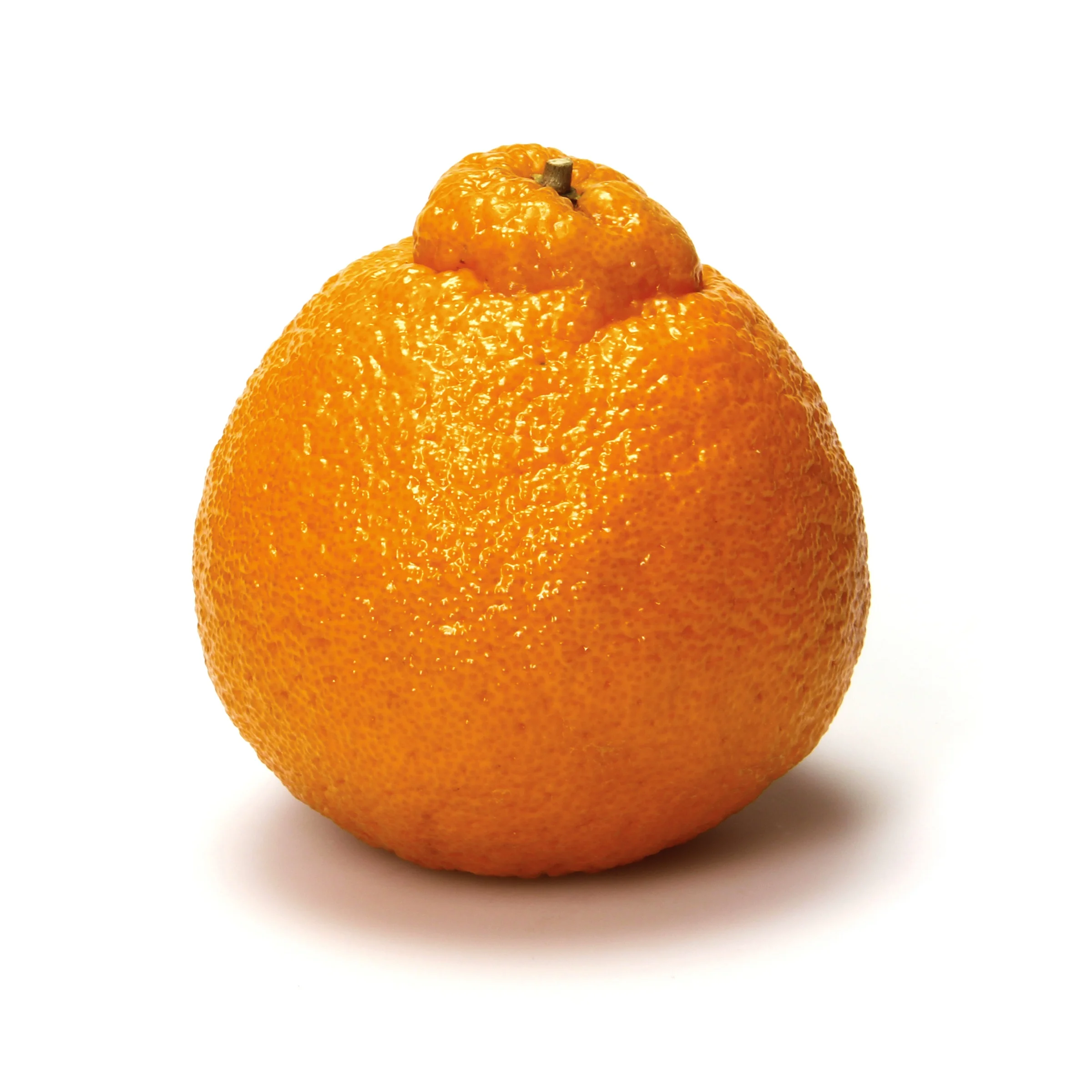 Экспорт апельсинов пупка сладкий апельсин фрукты