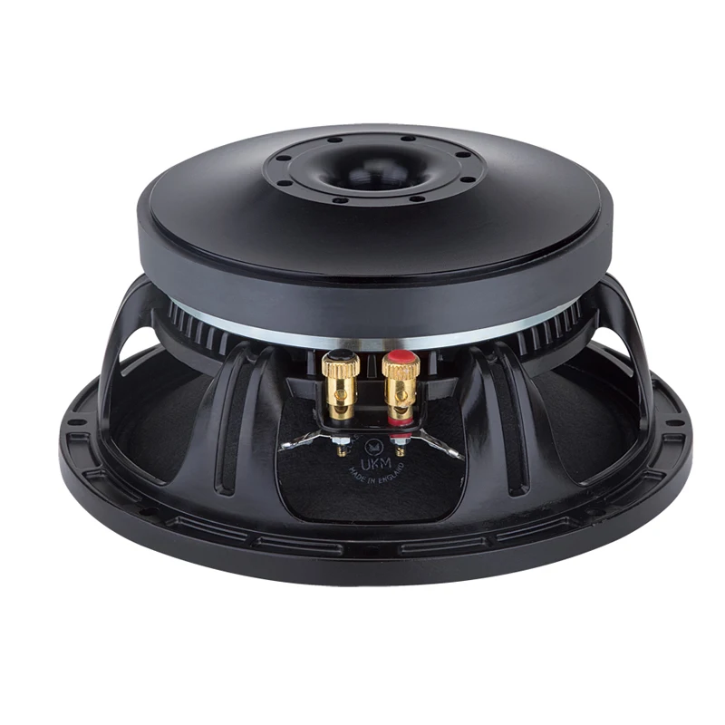 High Quality  Factory Direct  10 Inch 600 Watts professional outdoor concert Subwoofer  260mm magnet 3in voice coil