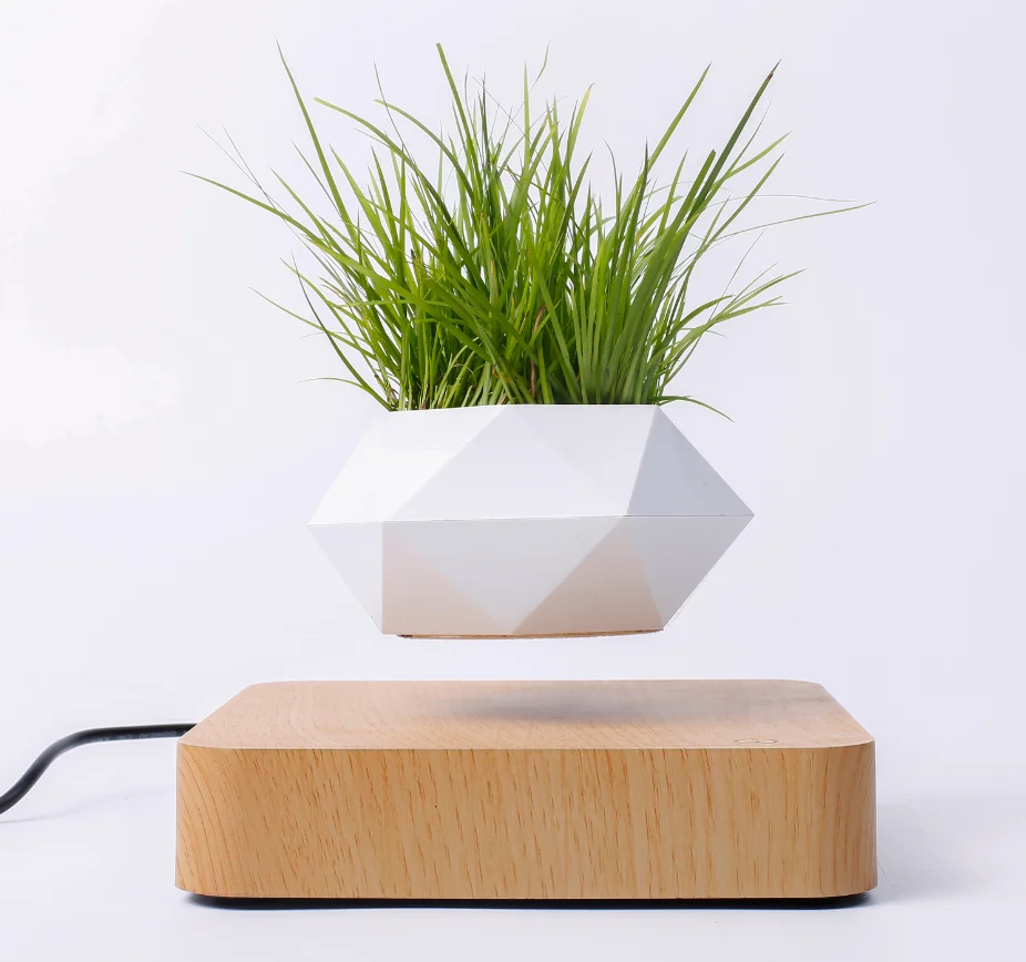 Floating Bonsai Plant Pot for Flower Bedroom Hotel Christmas Birthday Gift Room Decorative Floating Plant Pot