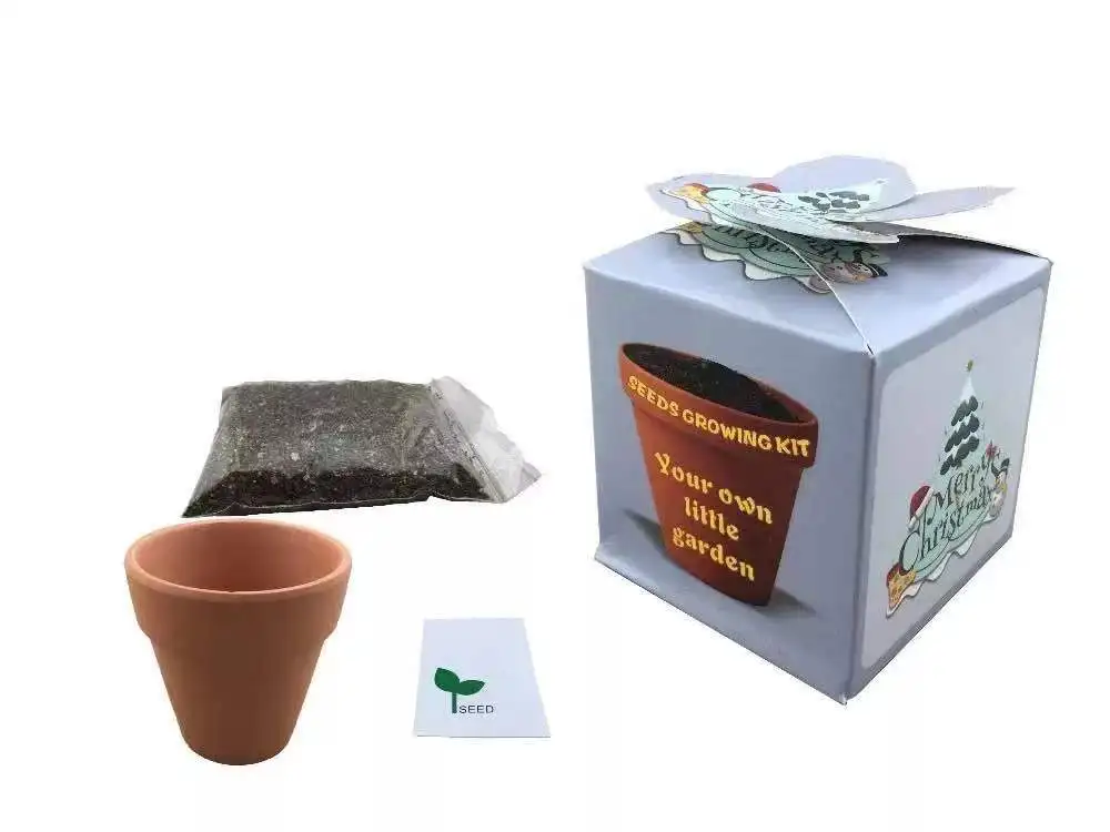 
Lucky angel bonsail gift cartoon suit cute ceranic grass dolls 