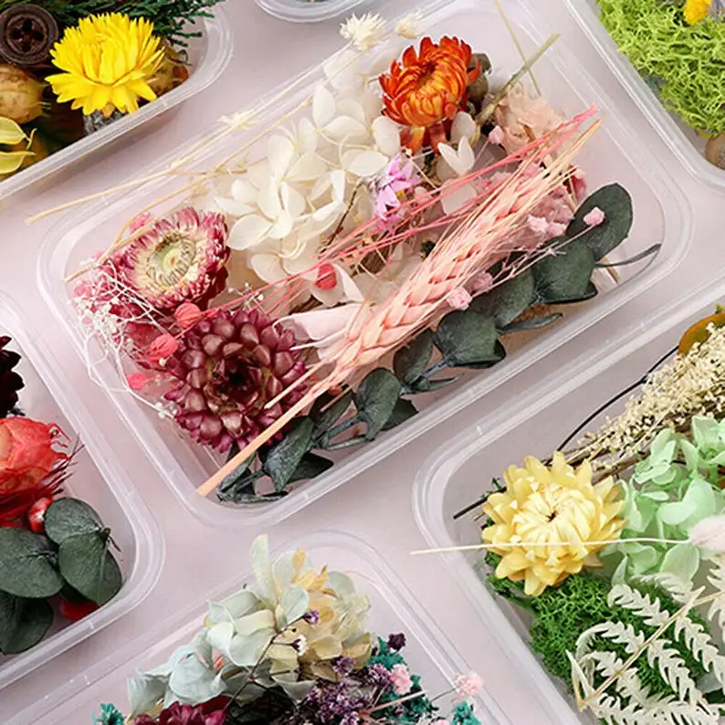 Wholesale 1 Box Lavender Random Mix Dried Flower Plant for Resin Jewelry Dry Plants Pressed Flowers Making Craft DIY Accessories