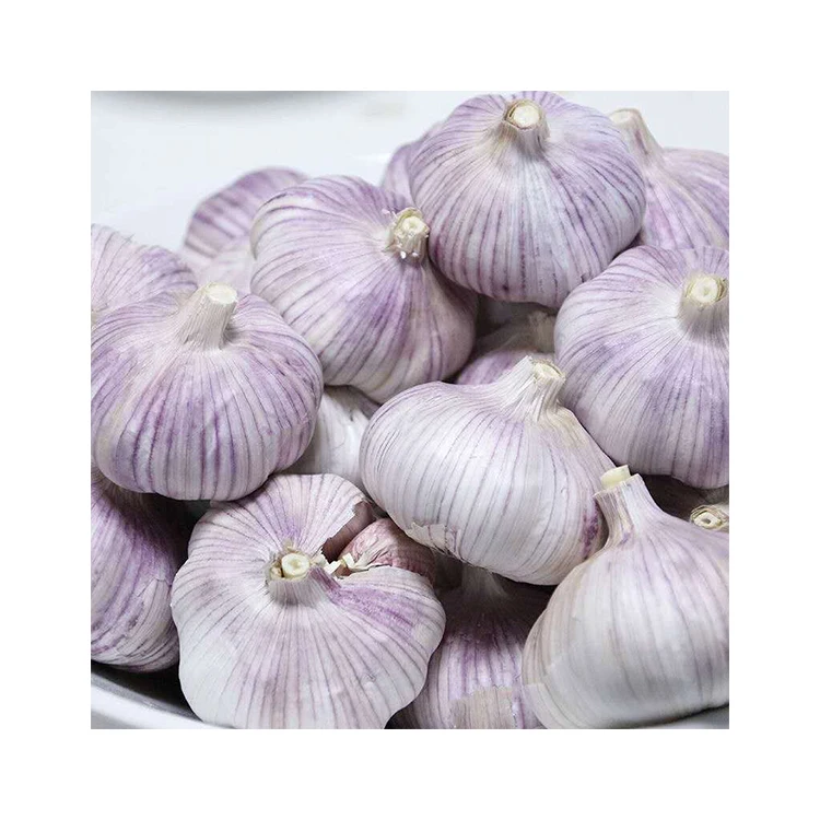 2021 акция низкая цена оптовая продажа высококачественные сетчатые пакеты Обычный белый чеснок