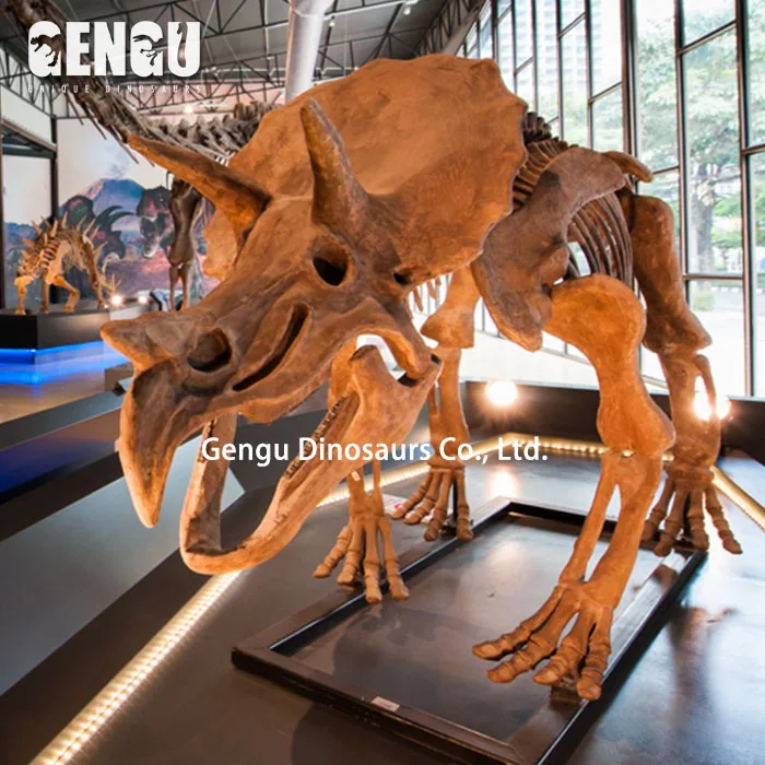 Zigong Dinosaur Museum Skeleton Model Of Dinosaur Spinosaurus