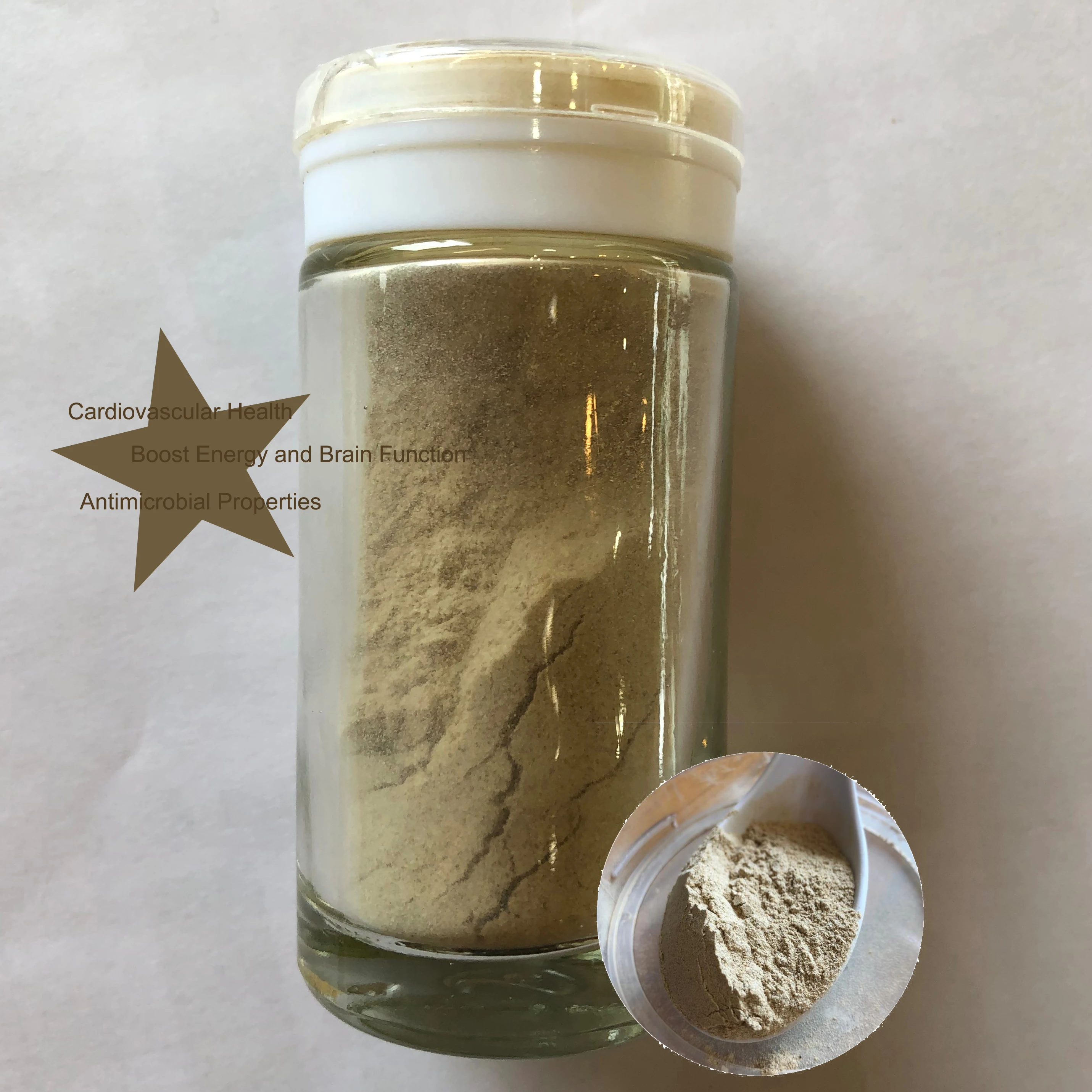 
Longevity secret Japanese dry mushroom extract powder for immune function 