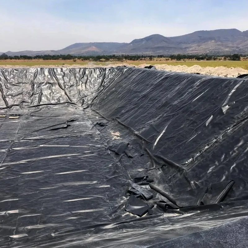 Hot Sale Anti-seepage 0.75mm Hdpe Geomembrane dam liner south africa prices
