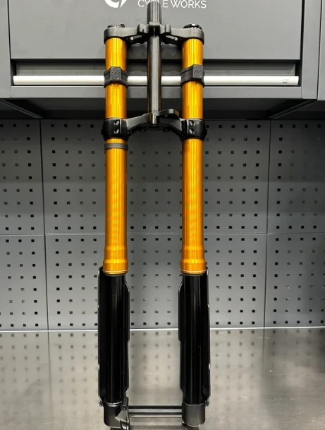 FASTACE ALX13RC 2.0 Inverted Gold Fork 38/50/60LBS Suspension Front Fork For Surron Downhill/Electric Dirt Bike Fork