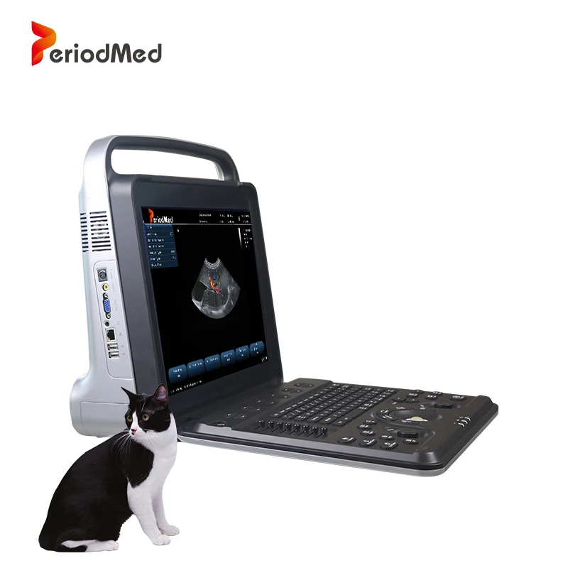 Периодированный Портативный Цветной Допплер выпуклый ветеринарный ультразвук для ветеринара
