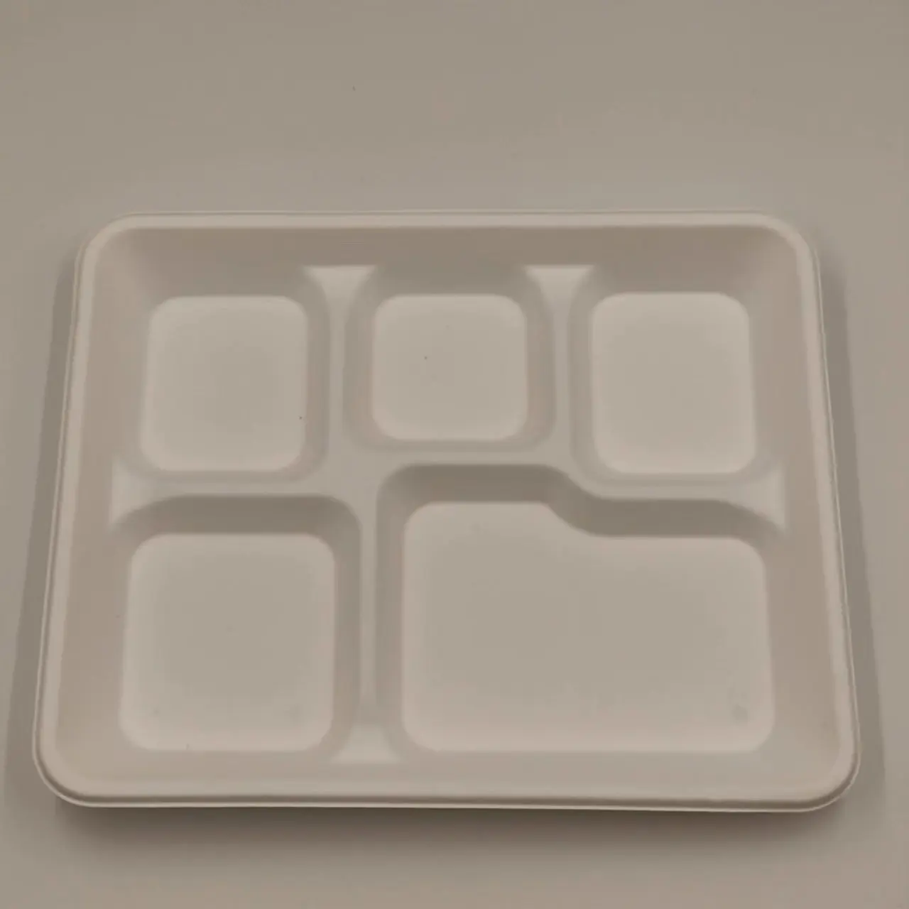 Disposable Food Tray with 5 Compartments Eco-Friendly Sugarcane Pulp Biodegradable Disposable Plates
