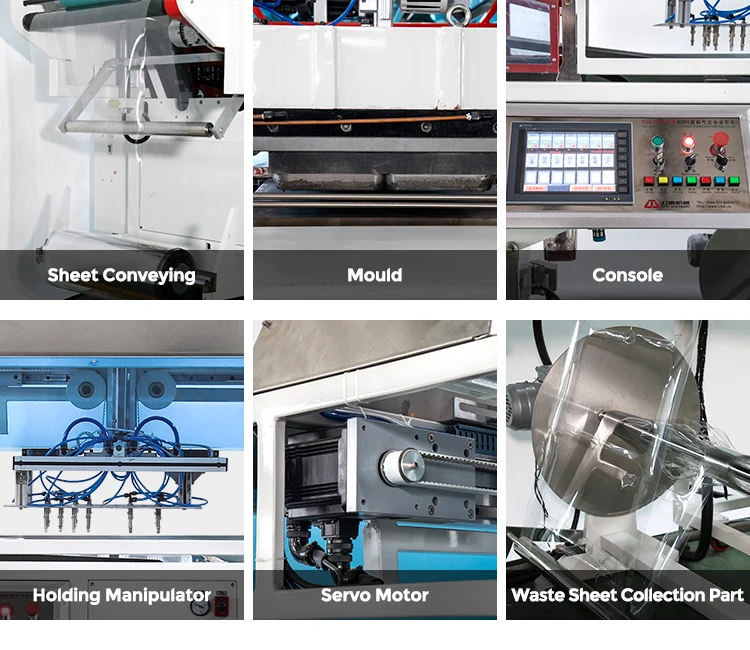 Vacuum Plastic Thermoforming Machine For Fruit Tray