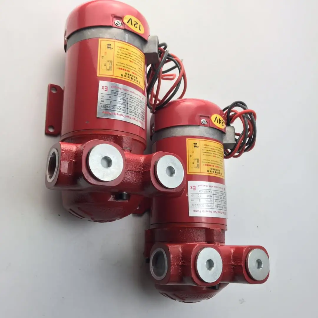 DC12/24V AC220V Ex-Proof Fuel Transfer Pump Mini Fuel Dispenser Used