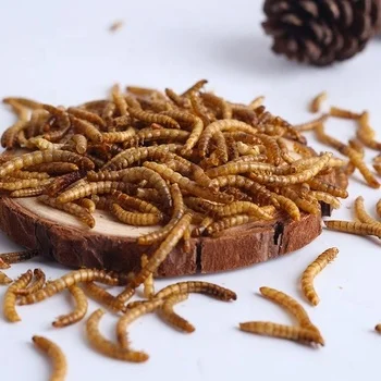Меолитор для животных