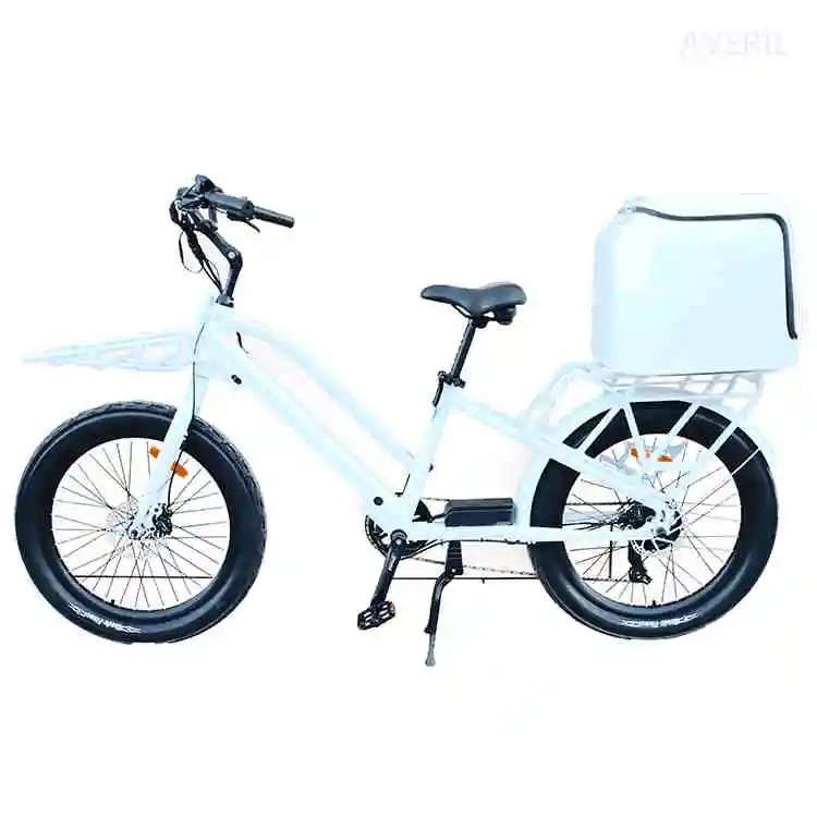 2023 New Bike 2 Wheel Removable Battery Pedal 500w Fat Tire Cargo High Quality with Good Price