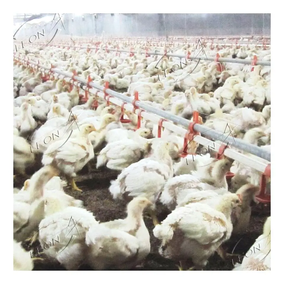 High Quality Modern Design Automatic Cheap Chicken Farm House In America For Sale