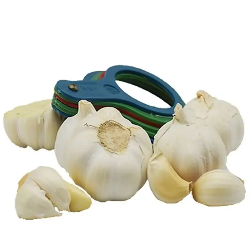 
buy china top quality full size bulk fresh pure white garlic vegetables suppliers 