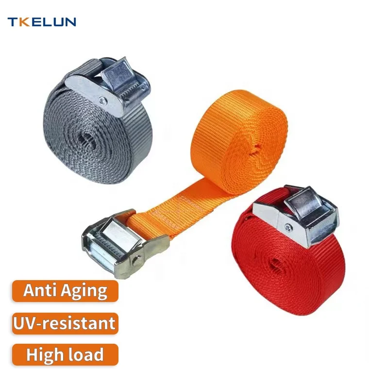 25mm 250kg Cam Buckle Tie Down Polyester Webbing Lashing Belt Sliver Metal Cargo with Customize logo Print