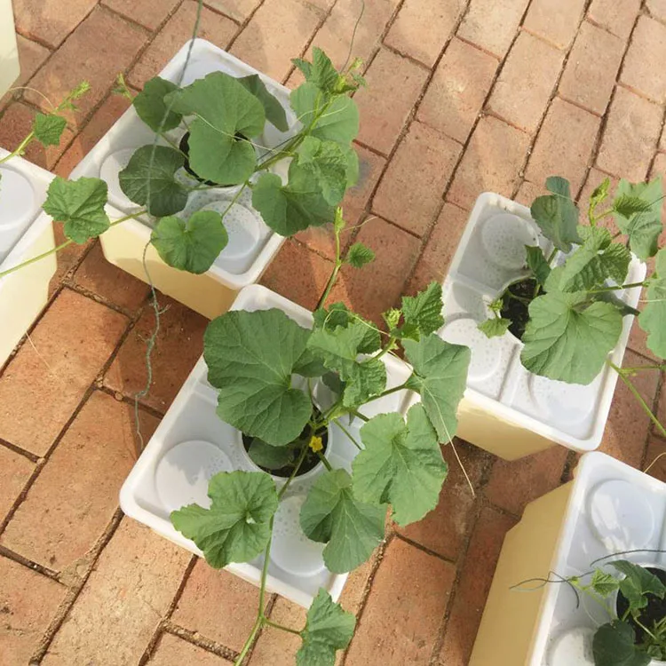 Soilless Cultivation Indoor Hydroponic Seeding Dutch Flower Bucket Dutch barrels HL planting barrels for Blueberries/pepper