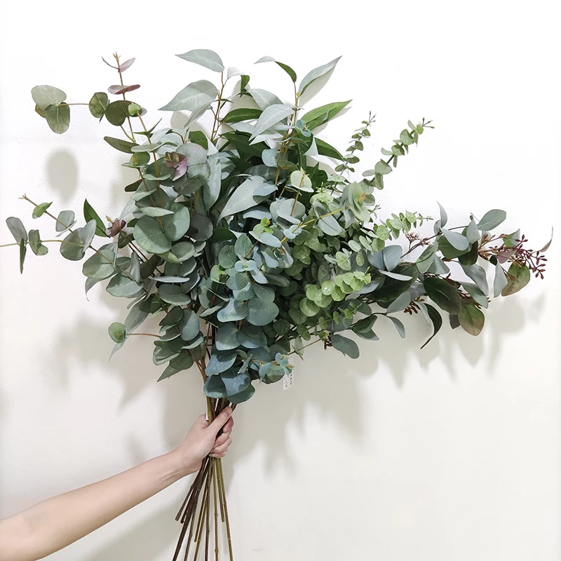 Comprehensive Artificial Plant Eucalyptus Faux Greenery Eucalyptus Leaves For Home Party Wedding Arrangement Decoration