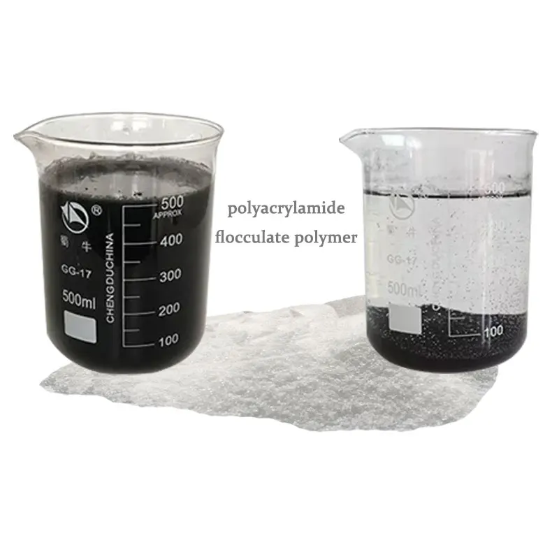 Water Treatment Chemical Polymer Polyacrylamide Powder Flocculation Agent for Plate and Frame Filter Press Machine