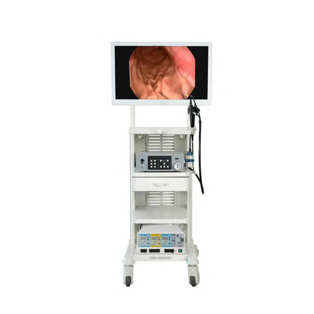 Gastroscope And Colonoscope Medical Gastrointestinal Endoscopy System Endoscope Gastroscope Veterinary Endoscope