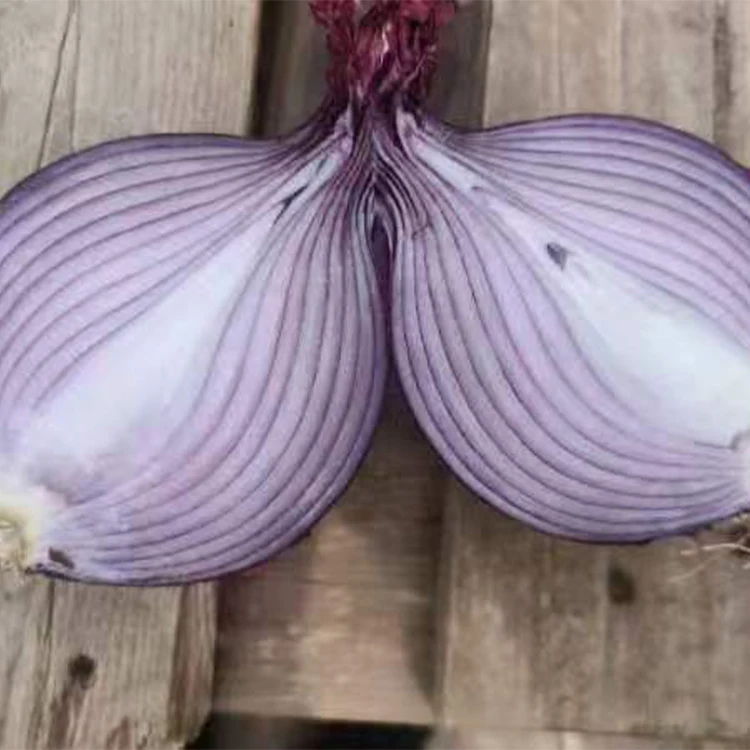 hot sale fresh agricultural product wholesale cheap 5-8cm red onion for export