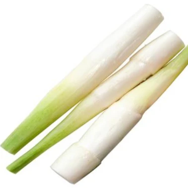 Wholesale High Quality Fresh Water Frozen Vegetables Bamboo Shoot Strips