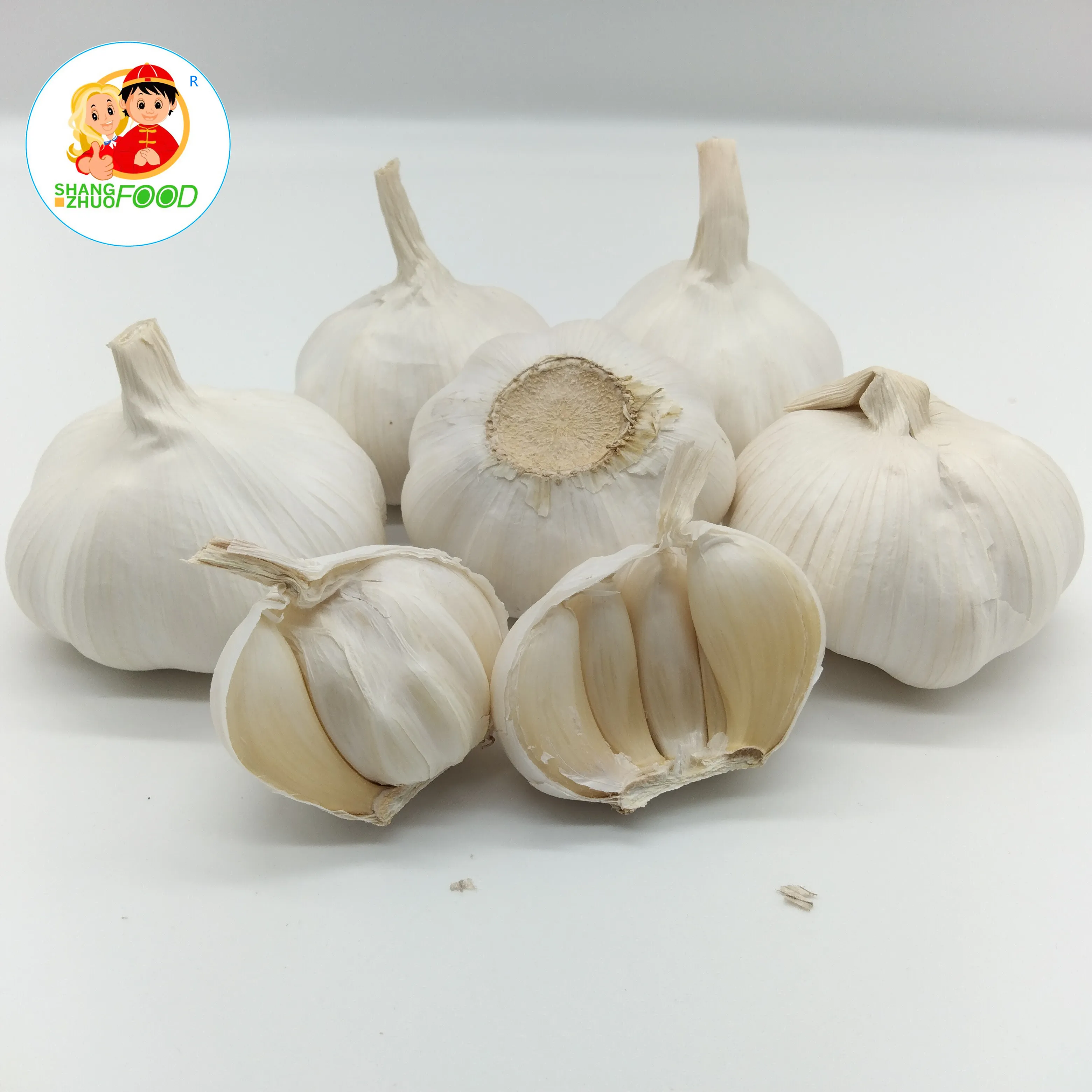 Jin Xiang Mesh Bag Packing Chinese Normal White Fresh Garlic in 10kg Crop Shandong Size Product
