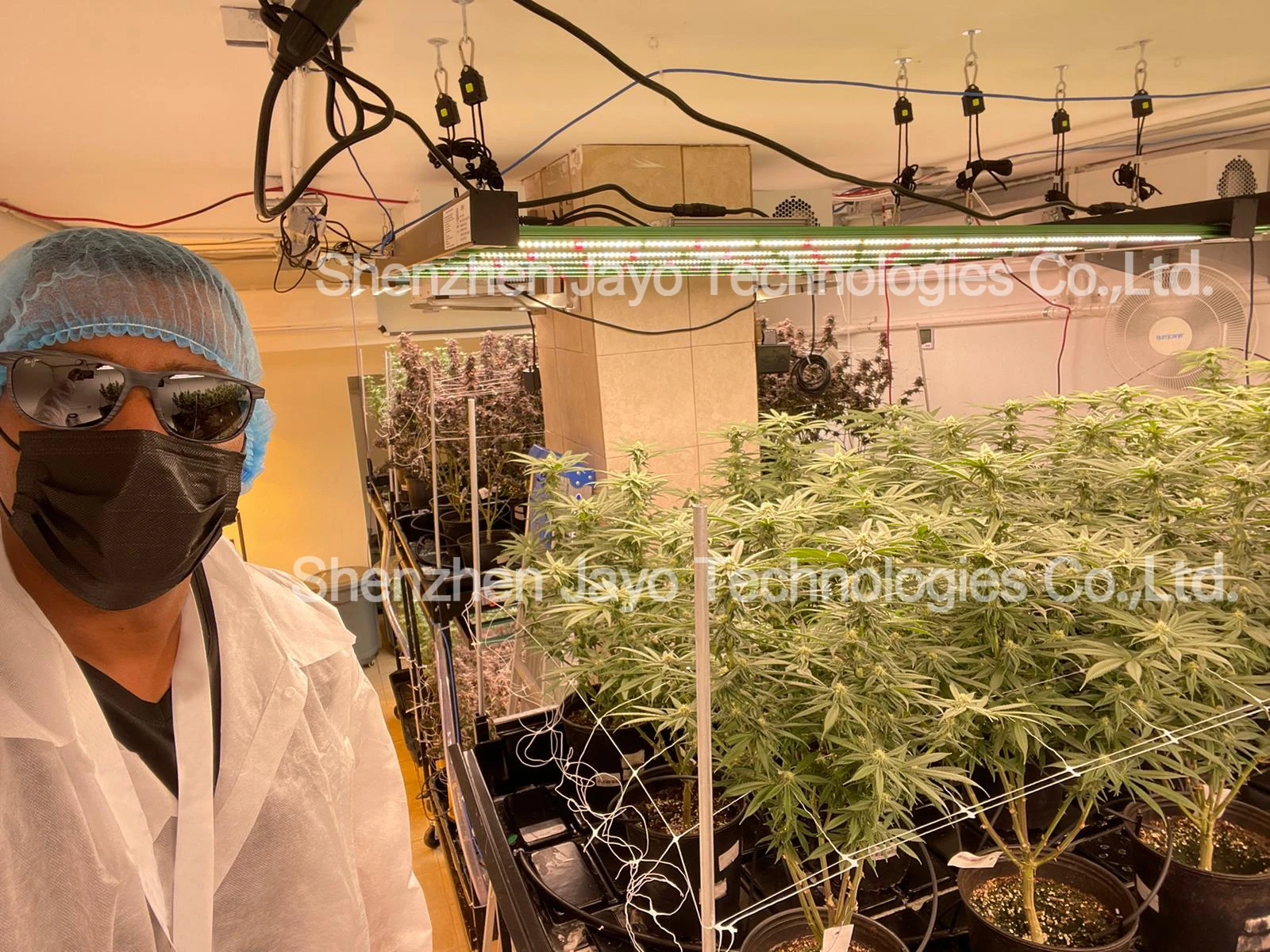 US Stock 400W 600W 800W Plant Growth Light Full Spectrum LED Grow Light UV Ir Dimmable Detachable Bar