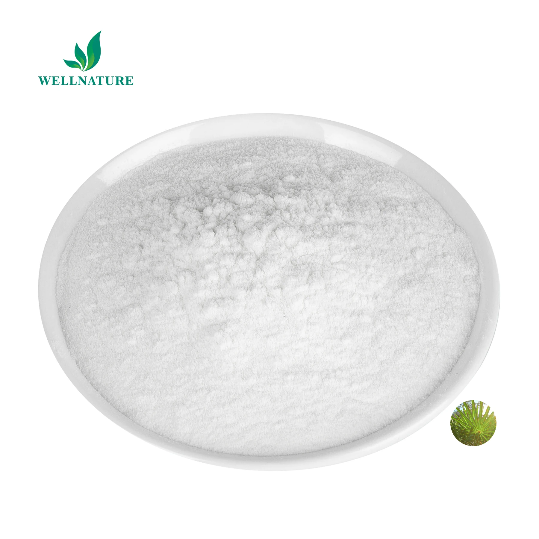 Natural Saw Palmetto Powder Extract High Quality Saw Palmetto Extract Supplier Best Price Palma Enana Americana Free Sample