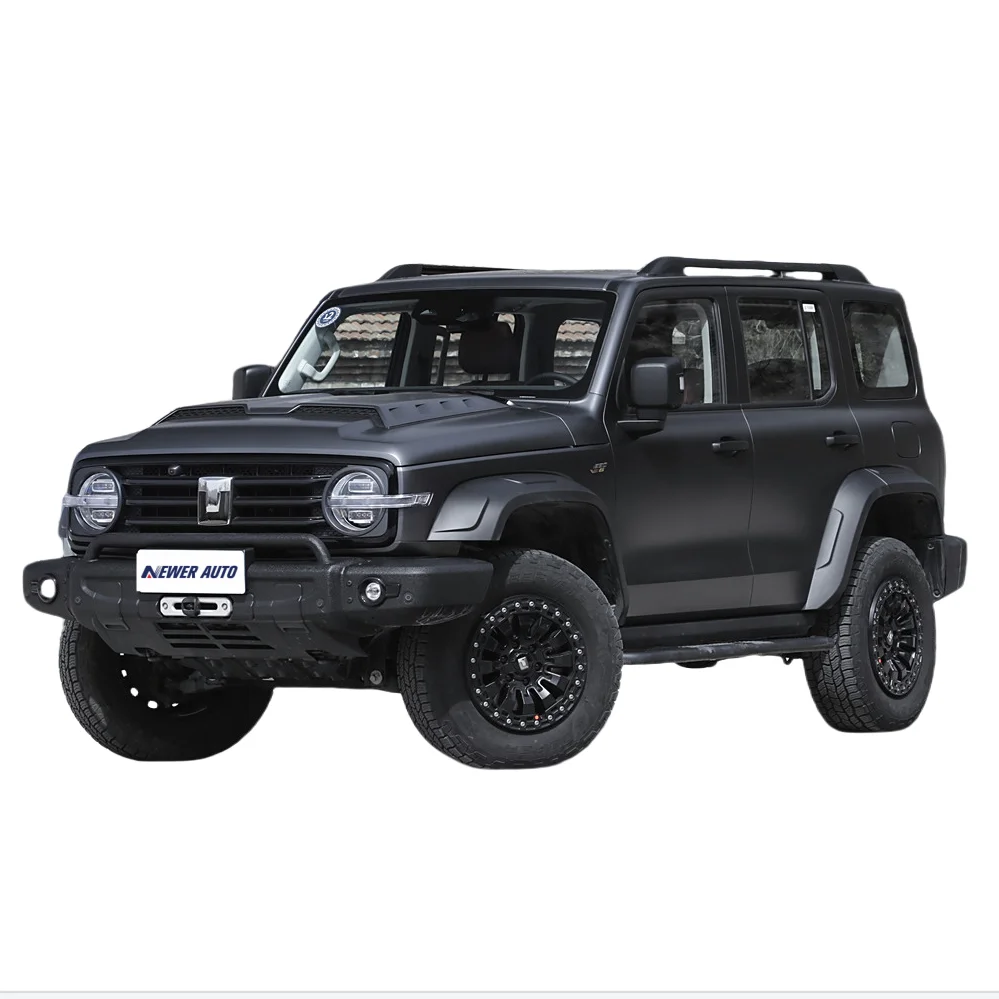 Китайский известный бензиновый автомобиль GWM 300 2 0 т 230 л.с. 167 кВт 4WD компактный внедорожник новый автомобильный бак