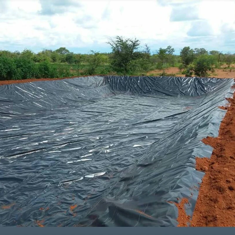 Pond Liner Geotextile Tarpaulin Fish Tanks Hdpe Membranes Geomembranas Hdpe 2 mm Geomembrane