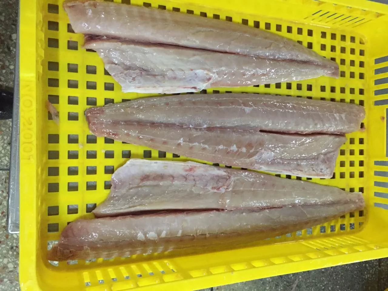 
Frozen Mahi Mahi Fillet Indonesia Origin 