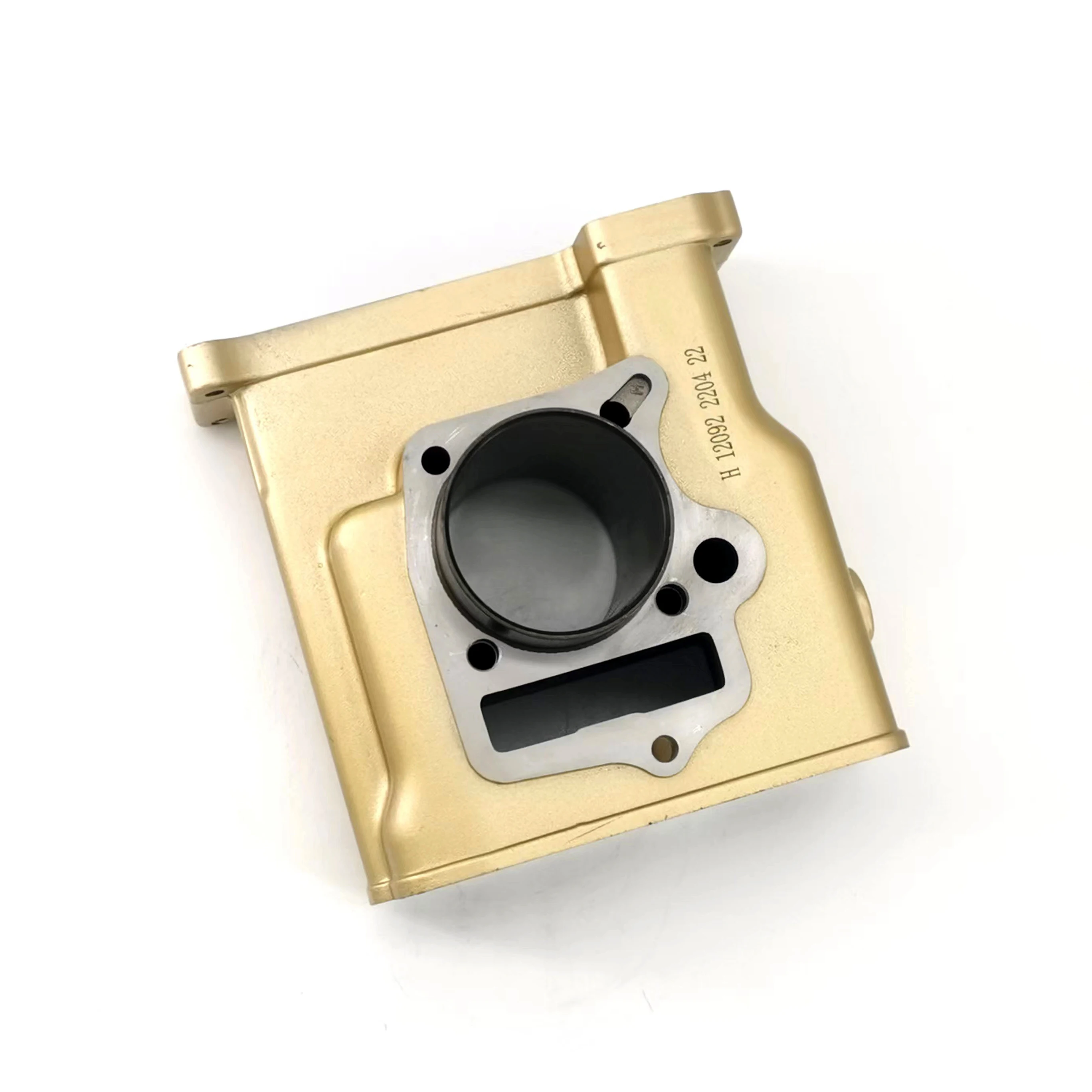 Best Selling FTS Series OEM Cylinder Block for Motorcycle