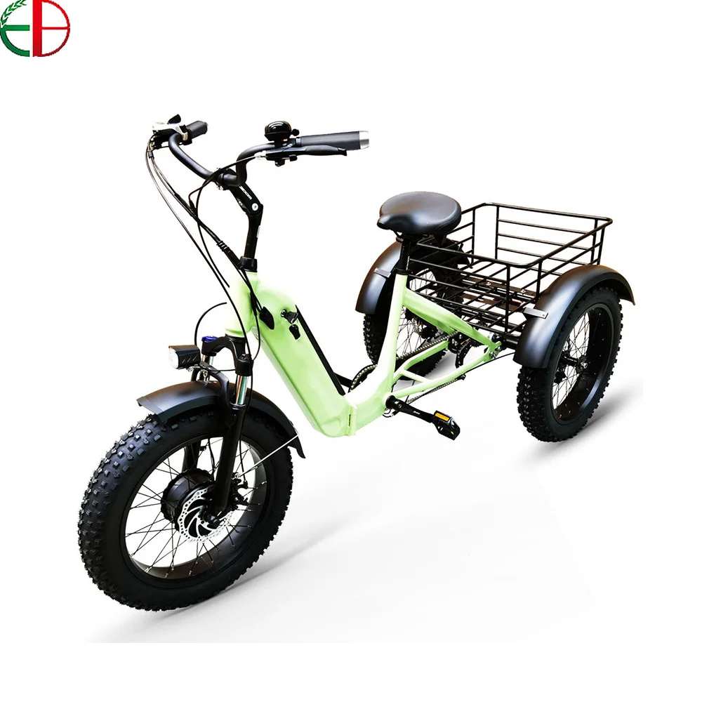 Tricycle comes with adult copilot lithium battery as an optional cheap  electric tricycle