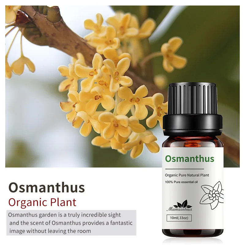 0.33oz 10ml Premium Grade Natural Organic Essential Oil Diffuser Oils Skin Care Aroma Massage Bulk Pure Oils