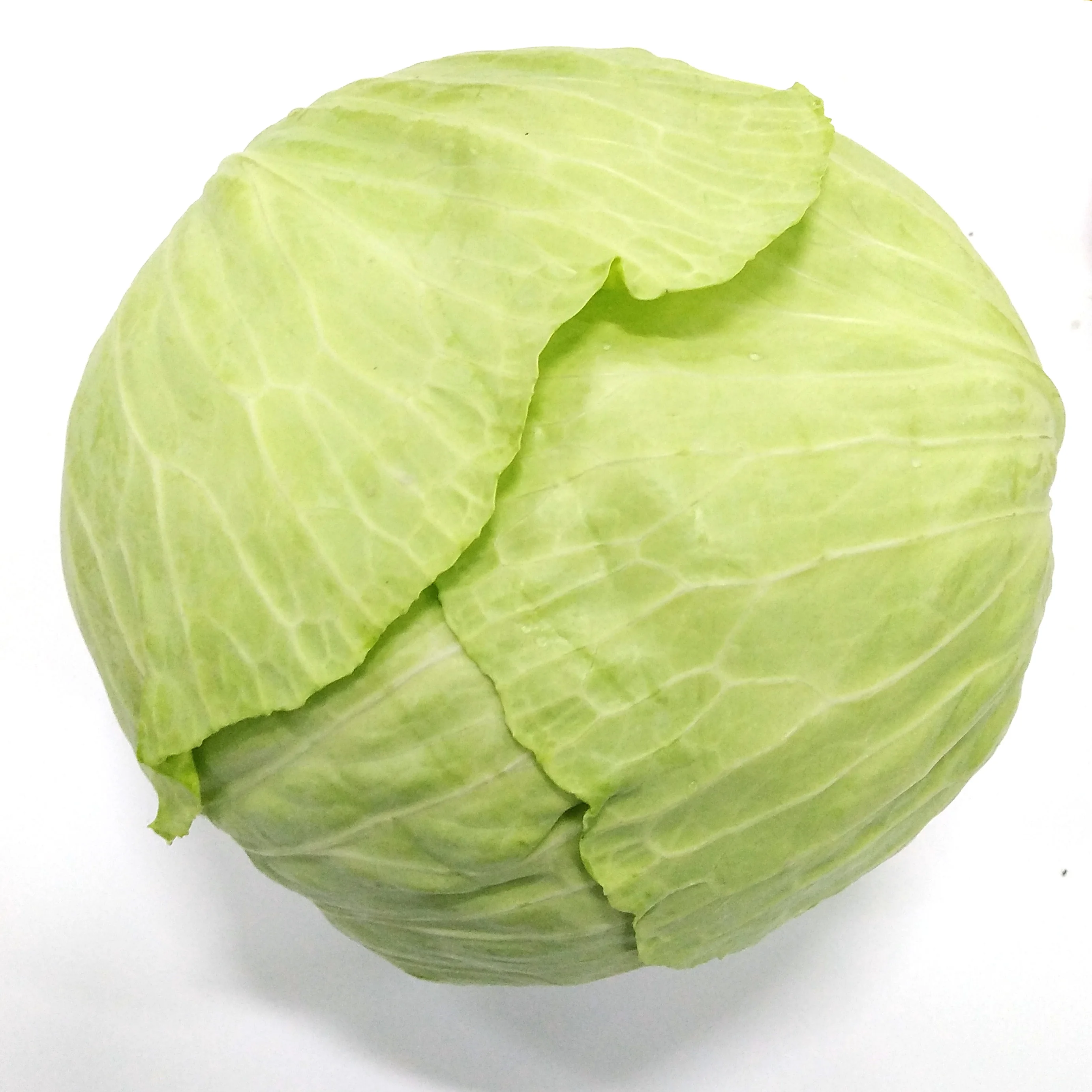 
High quality organic fresh cabbage for sale 