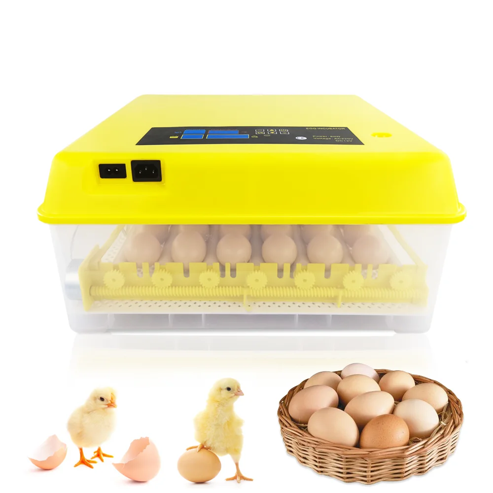 wholesale automatic fully roller type high quality mini electric 220v 110v chicken eggs mini incubator