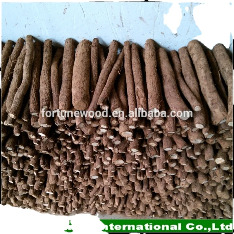 Легкая посадка, рассады корней павловнии, оптовая продажа с завода