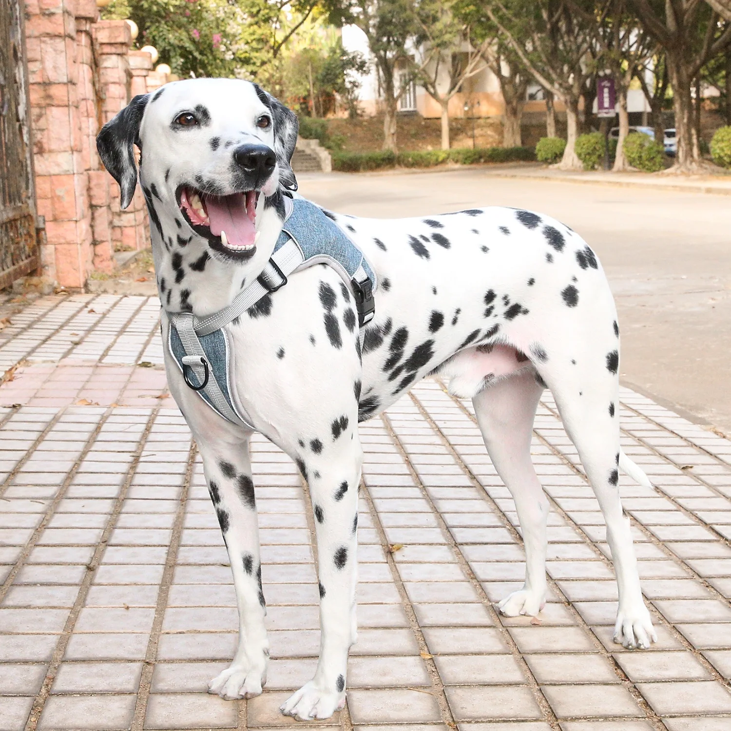 Dog Harness No Pull Reflective Vest with 2 Metal Leash Hooks Adjustable Soft Padded Pet for Small Medium