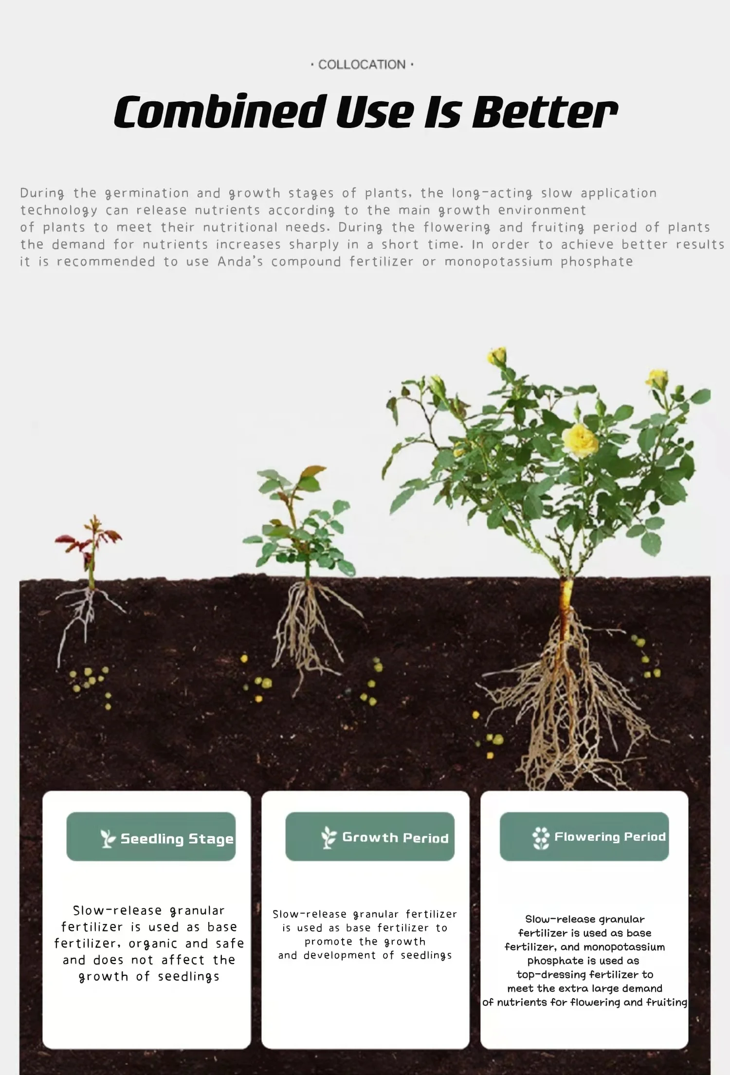 Horticultural Fertilizer Garden Fertilizer Outdoor Vegetables Plant Organic Natural Granular Fertilizer For Hoseplant Use