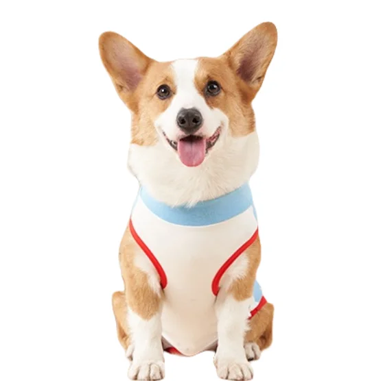 Wholesale Cotton Dog Clothing Sterilization  Surgery Recovery  Suit for Postoperative pet dog shirt suit