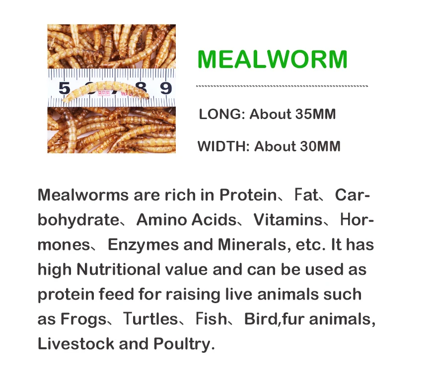 
customer designed pet foods lives birds factory dried mealworm 