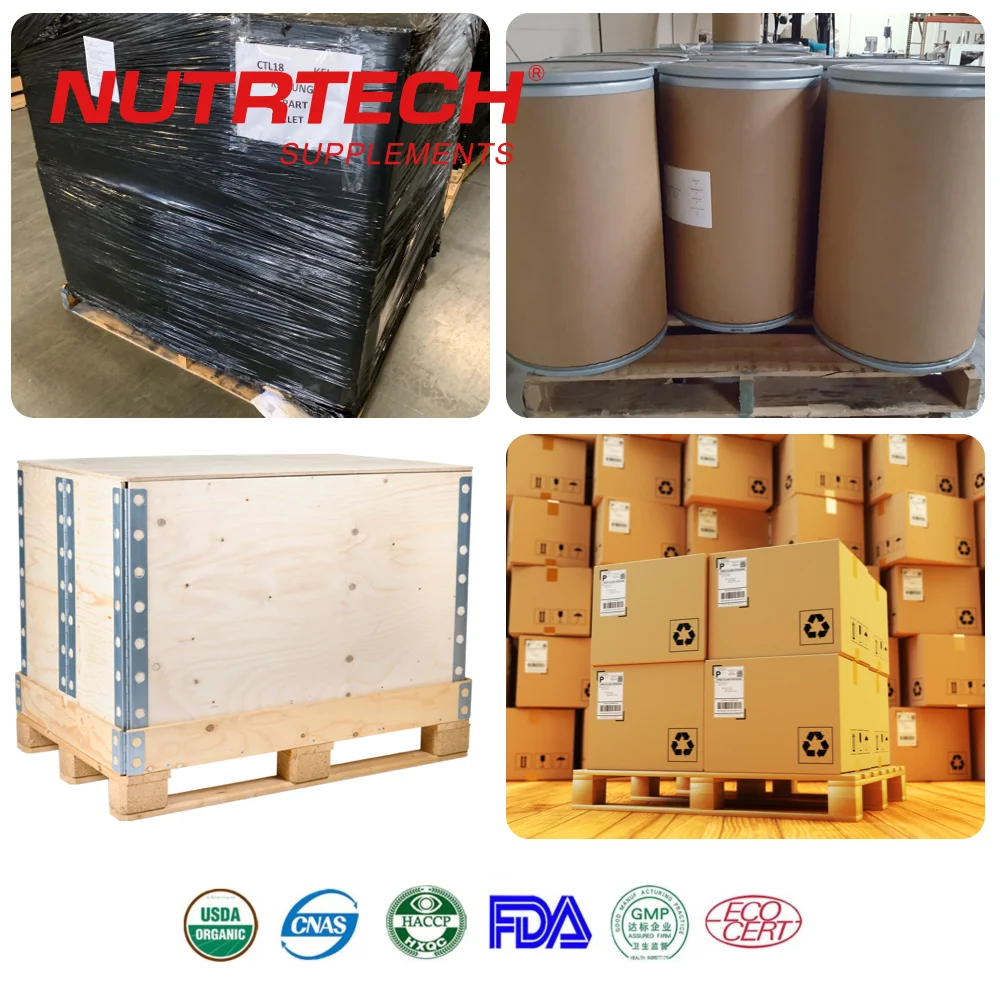 Wholesale Herb Supplement Vitamin C Zinc Capsules Immune Booster  Black Seed Elderberry Extract Powder Capsules