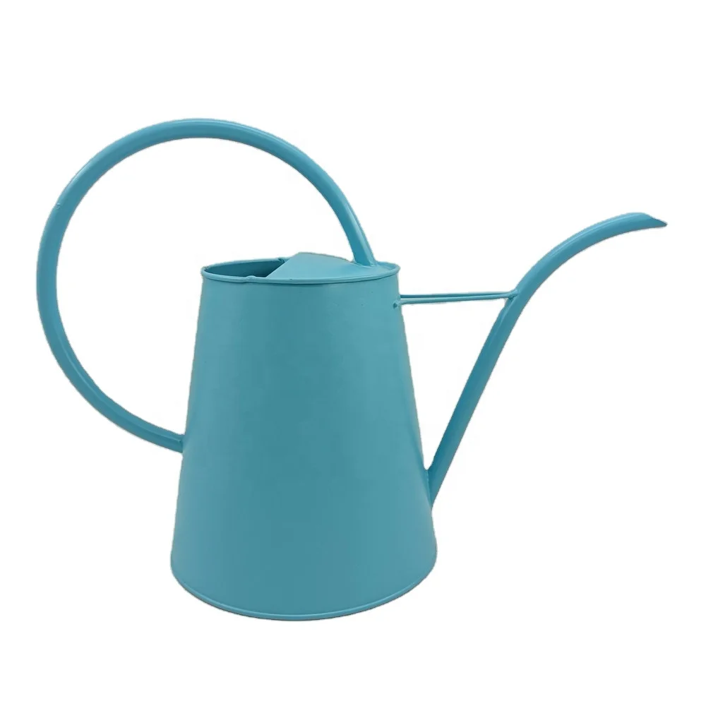 Customized Customized 3L Modern Children Outdoor Garden Watering Can Decorative Blue Round Long Mouth Spray Metal Watering Can